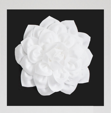 Load image into Gallery viewer, White Dahlia on Black Canvas size 18x18
