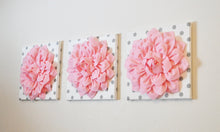 Load image into Gallery viewer, Three Light Pink Dahlias on White with Gray Polka Dot Canvases - Daisy Manor