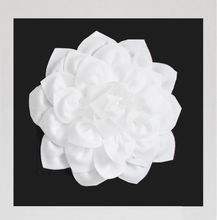 Load image into Gallery viewer, White Dahlia on Black Canvas size 18x18

