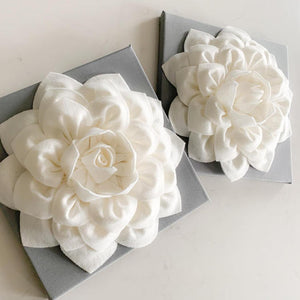 Ivory Dahlia Flowers on Gray Canvases